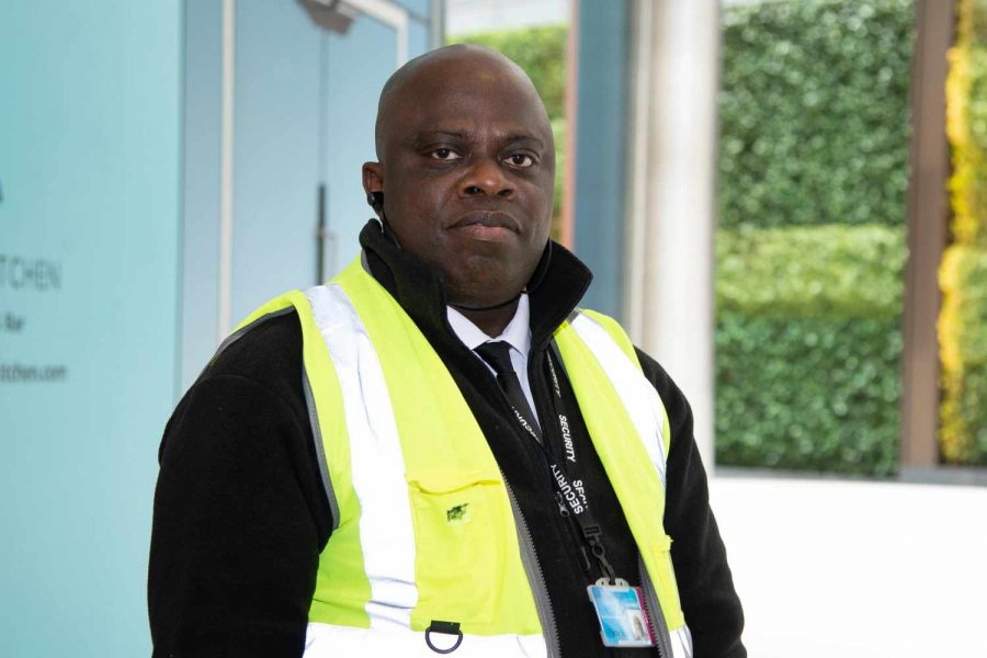 services public sector security